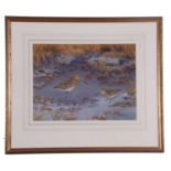Richard Robjent (British 20th Century), Snipe and Jack Snipe, watercolour, signed. 12x15ins