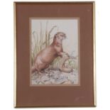 John Last (British contemporary), Otter, watercolour, signed, 10x7ins, framed and glazed