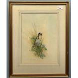 Andrew Osborne (British), Bull Finch, watercolour, signed, 9x11.5ins, framed and glazed.