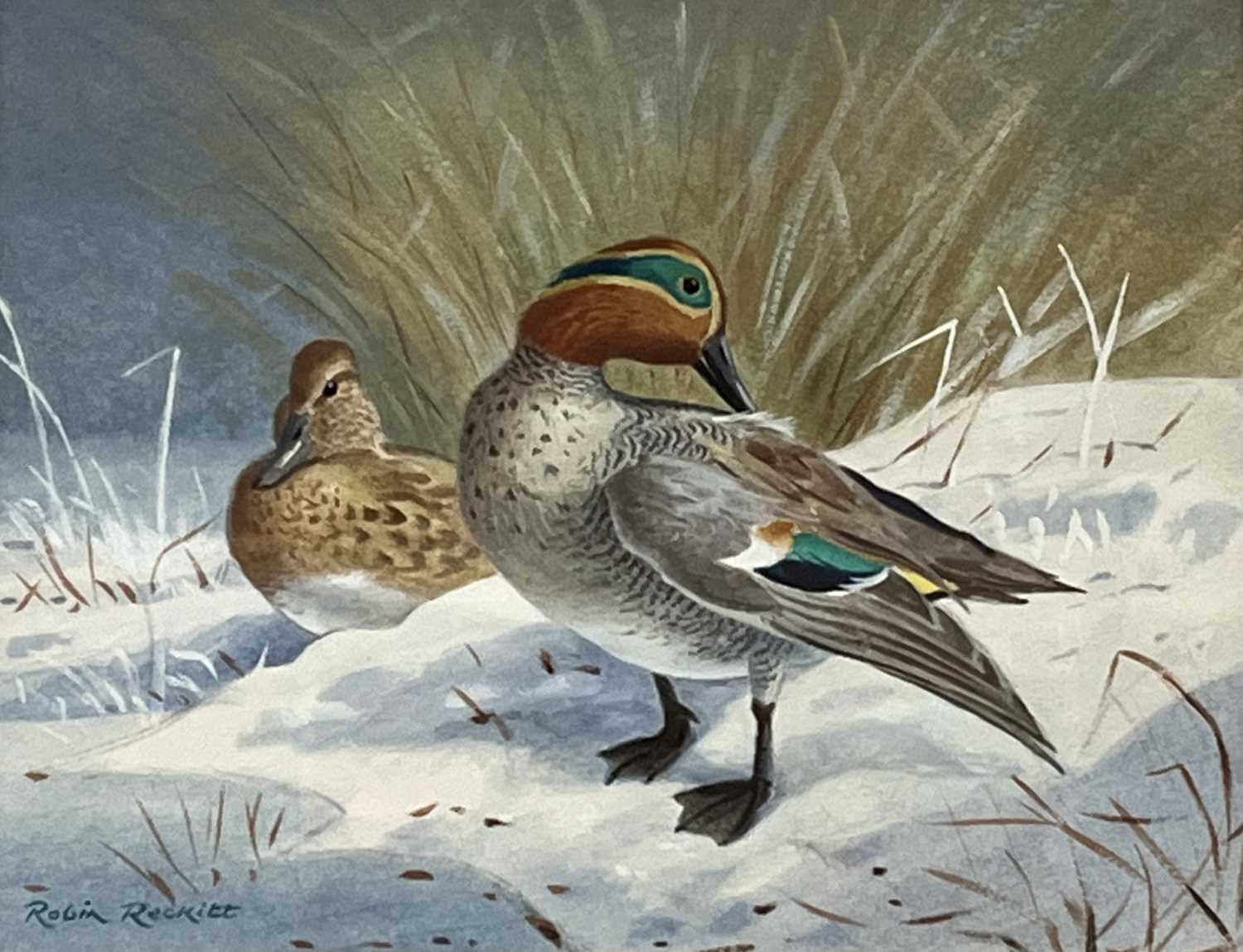 Robin Reckitt (British, b.1928), a pair of Teal preening, watercolour, signed, 7.5x10ins, 'The - Image 3 of 3