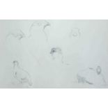 Charles Stanley Todd (British,1923-2004), a trio of grouse studies in varying profiles, pencil on