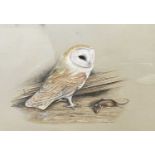 Carl Donner (British, b.1957), a Barn Owl with prey, watercolour, signed and dated 1975,