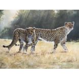 Steve Burgess (Canadian, b. 1960), Two cheetahs in open grassland, oil on board, signed 18x24ins,
