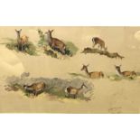Charles Stanley Todd (British,1923-2004), a study of a deer in eight varying profiles, pencil and