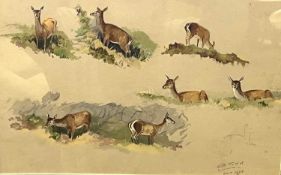 Charles Stanley Todd (British,1923-2004), a study of a deer in eight varying profiles, pencil and