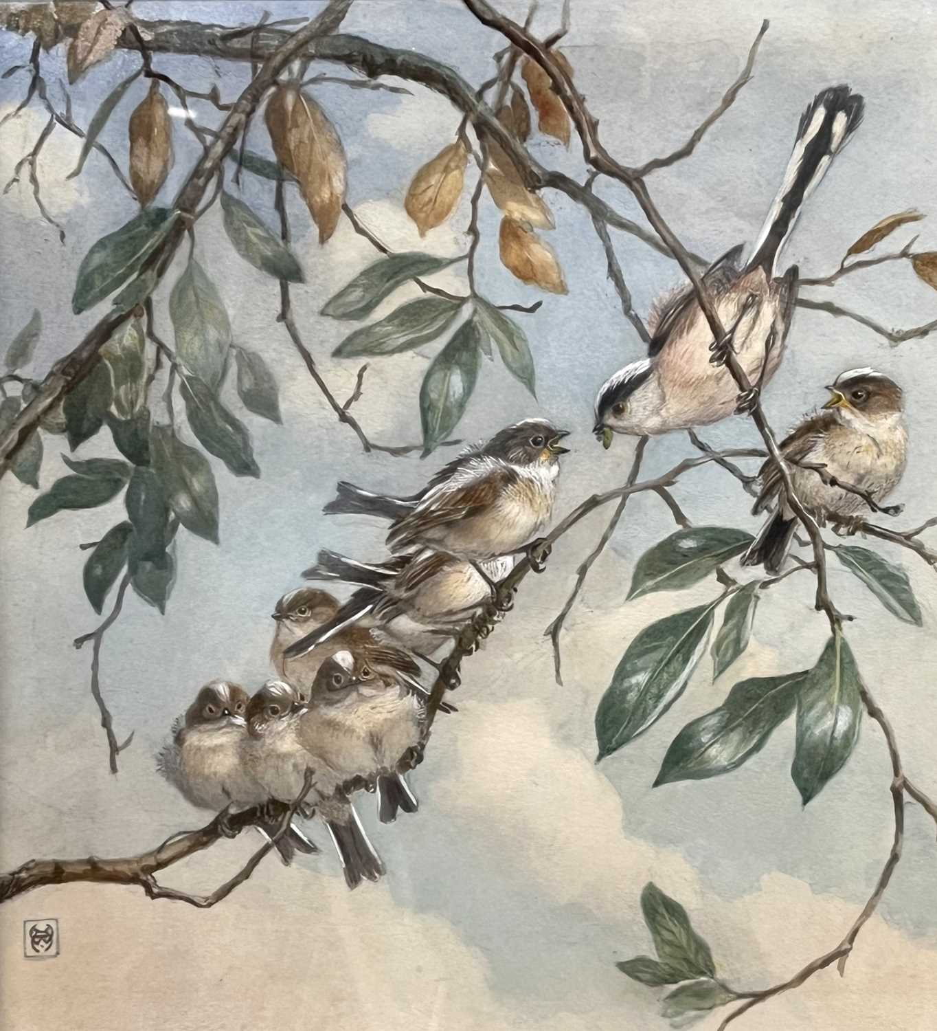 Winifred Austin RI RE (British,1876-1964), "Long Tailed Tit Family", watercolour, monogrammed,