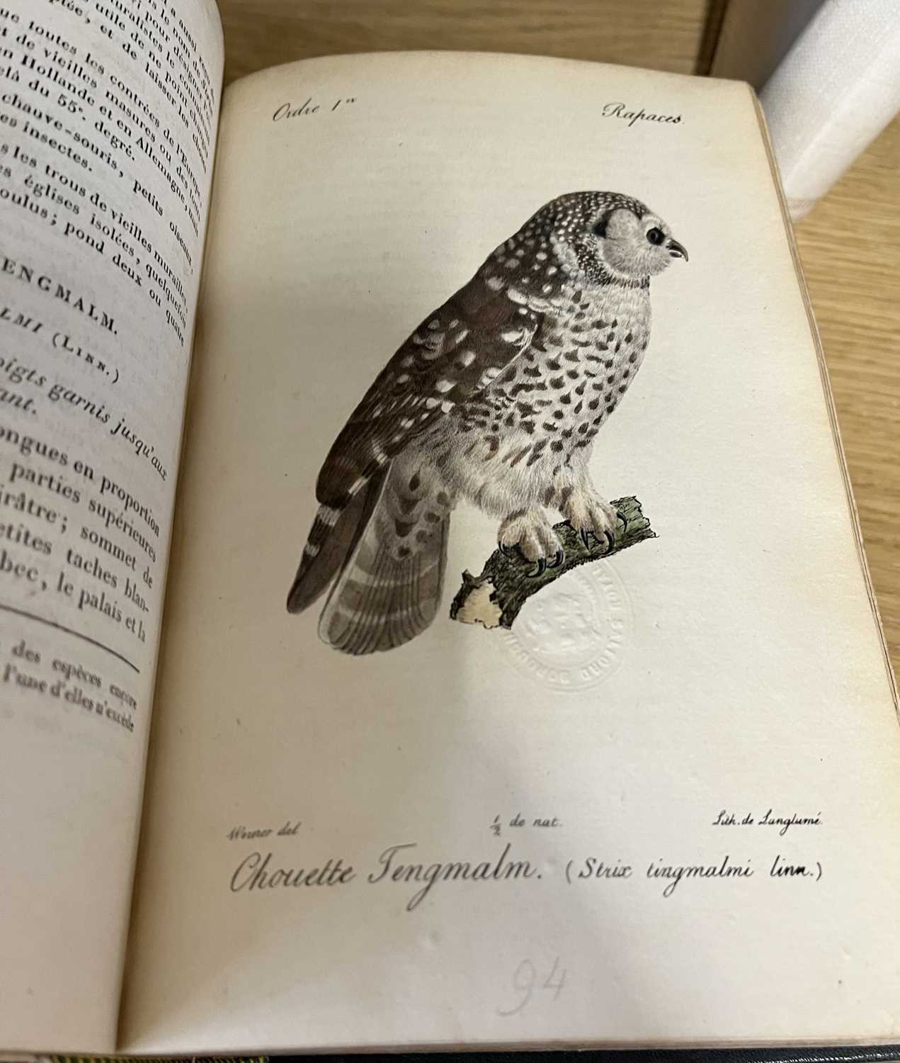 Manuel D'Ornithologie - French, early 19th Century plates by Johann Carl Werner - Manuel D' - Image 9 of 9