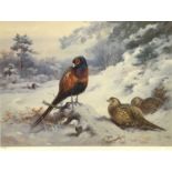 After Archibald Thorburn (British,1860-1935), Pheasants within a snow covered landscape, limited
