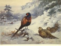 After Archibald Thorburn (British,1860-1935), Pheasants within a snow covered landscape, limited