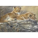 Ingrid Weiersby (British, b. 1954), Two African lion cubs resting, watercolour, signed lower right