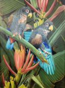 David Ord Kerr (British, b.1951), 'Bronze Winged Parrots', oil on board, signed, 11x16ins, framed