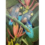 David Ord Kerr (British, b.1951), 'Bronze Winged Parrots', oil on board, signed, 11x16ins, framed