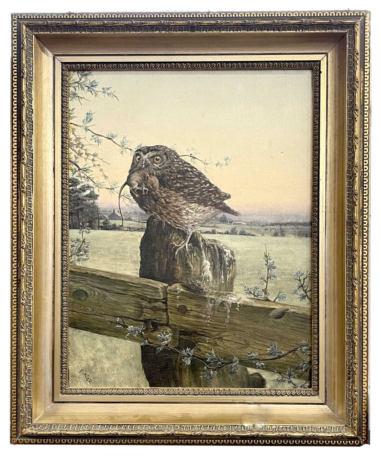 British School, 20th century, 'Bird', a Little Owl with field mouse prey, oil on canvas, dated ' - Image 2 of 2