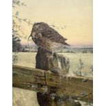 British School, 20th century, 'Bird', a Little Owl with field mouse prey, oil on canvas, dated '