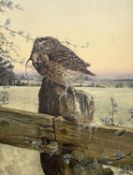 British School, 20th century, 'Bird', a Little Owl with field mouse prey, oil on canvas, dated '