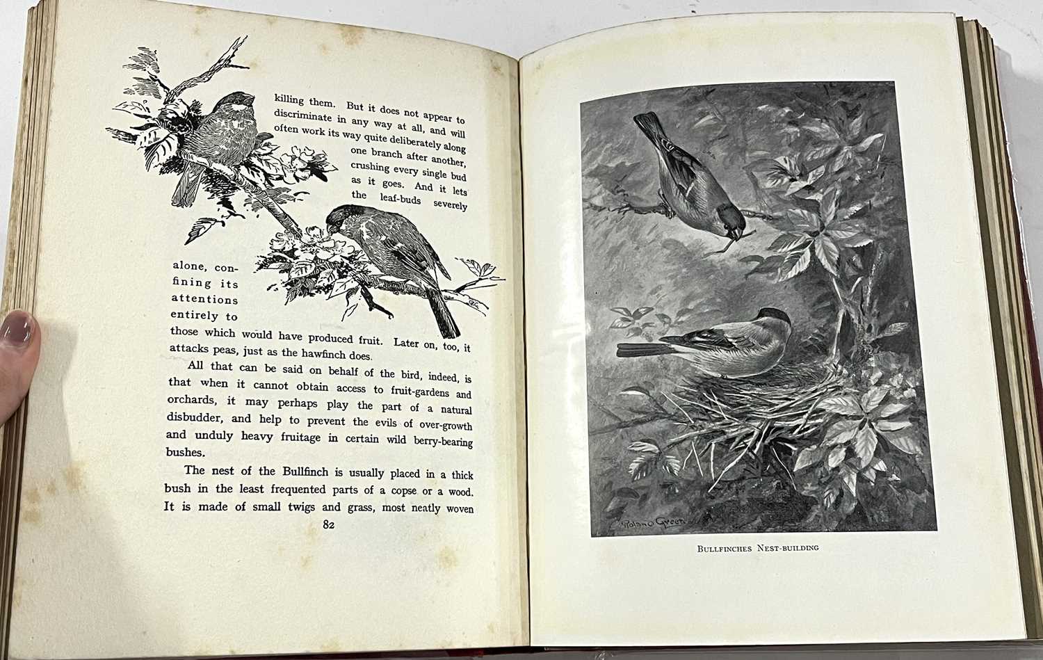 Small box containing bird books including Birds Ashore and Aforeshore by Patrick Chalmers, - Image 9 of 14