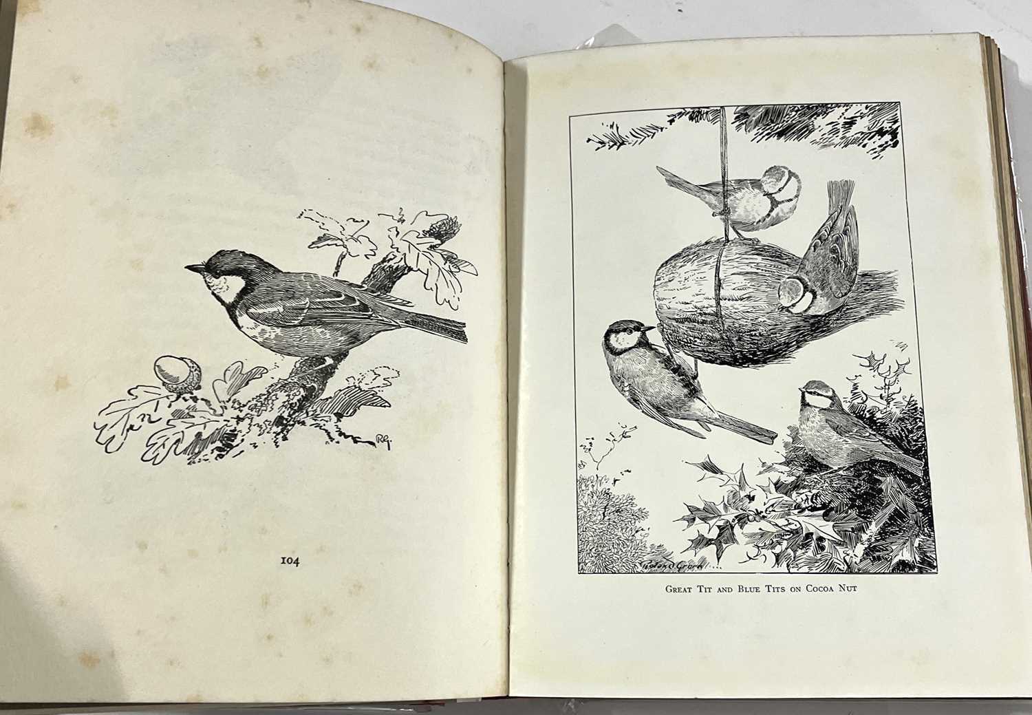 Small box containing bird books including Birds Ashore and Aforeshore by Patrick Chalmers, - Image 8 of 14