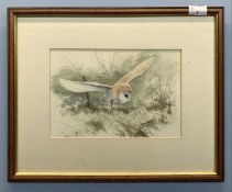 Simon T.Trinder (British, contemporary), barn owl in flight, pencil and watercolour, signed, 11x7.