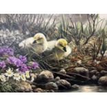 Willem Sternberg De Beer (South African, b.1941), a pair of gosling ducklings on a riverbank, oil on