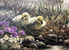 Willem Sternberg De Beer (South African, b.1941), a pair of gosling ducklings on a riverbank, oil on