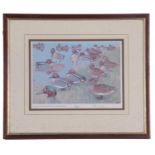 Peter Scott (British, 20th Century), Spring of teal, limited edition print, numbered 18/350 and