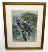 long eared owl water colour