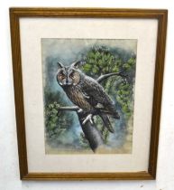 long eared owl water colour