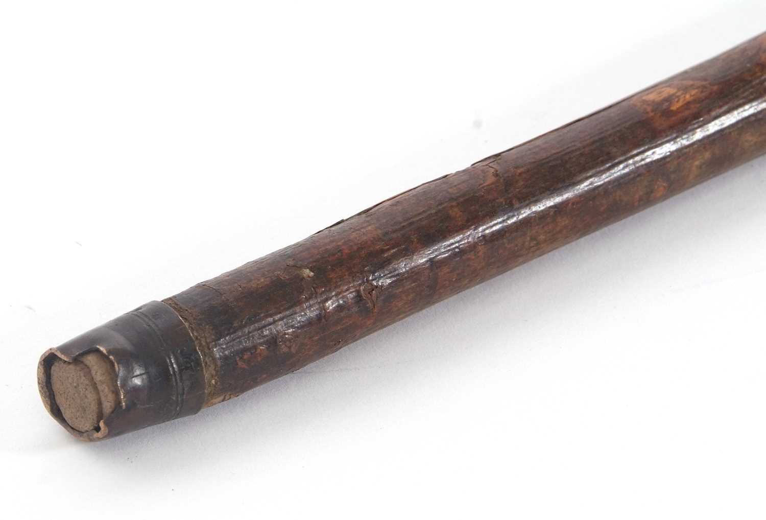 Mid 19th Century horse measuring stick in a bamboo shaft, screw on top with pull out satin wood - Image 3 of 3