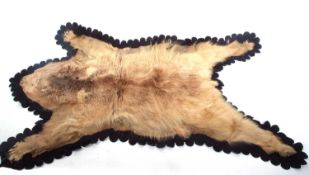 20th Century possibly circa 20s/30s Syrian Brown Bear (Ursus arctos Syriacus) skin rug on black felt