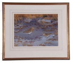 Richard Robjent (British 20th Century), Snipe and Jack Snipe, watercolour, signed. 12x15ins