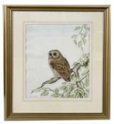 Andrew Osborne (British, 20th century), owl perched on a branch, watercolour, signed, 13.5x17ins,