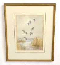 Roland Green (British,1896-1972), "Mallard", pencil and watercolour, signed, Mandell's Gallery label
