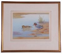 Richard Robjent (British, 20th Century), A brace of Teal, watercolour, signed, 10x13ins, framed