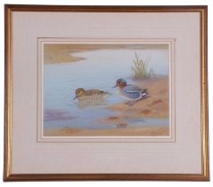 Richard Robjent (British, 20th Century), A brace of Teal, watercolour, signed, 10x13ins, framed