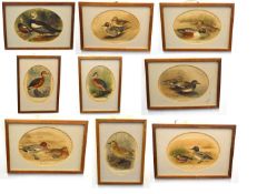 Set of nine framed duck prints