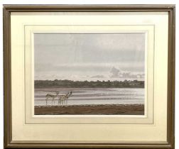 Michael Morley (British, b.1937), "Springbok, South Africa", pastel, monogrammed, 15.5x19ins, framed