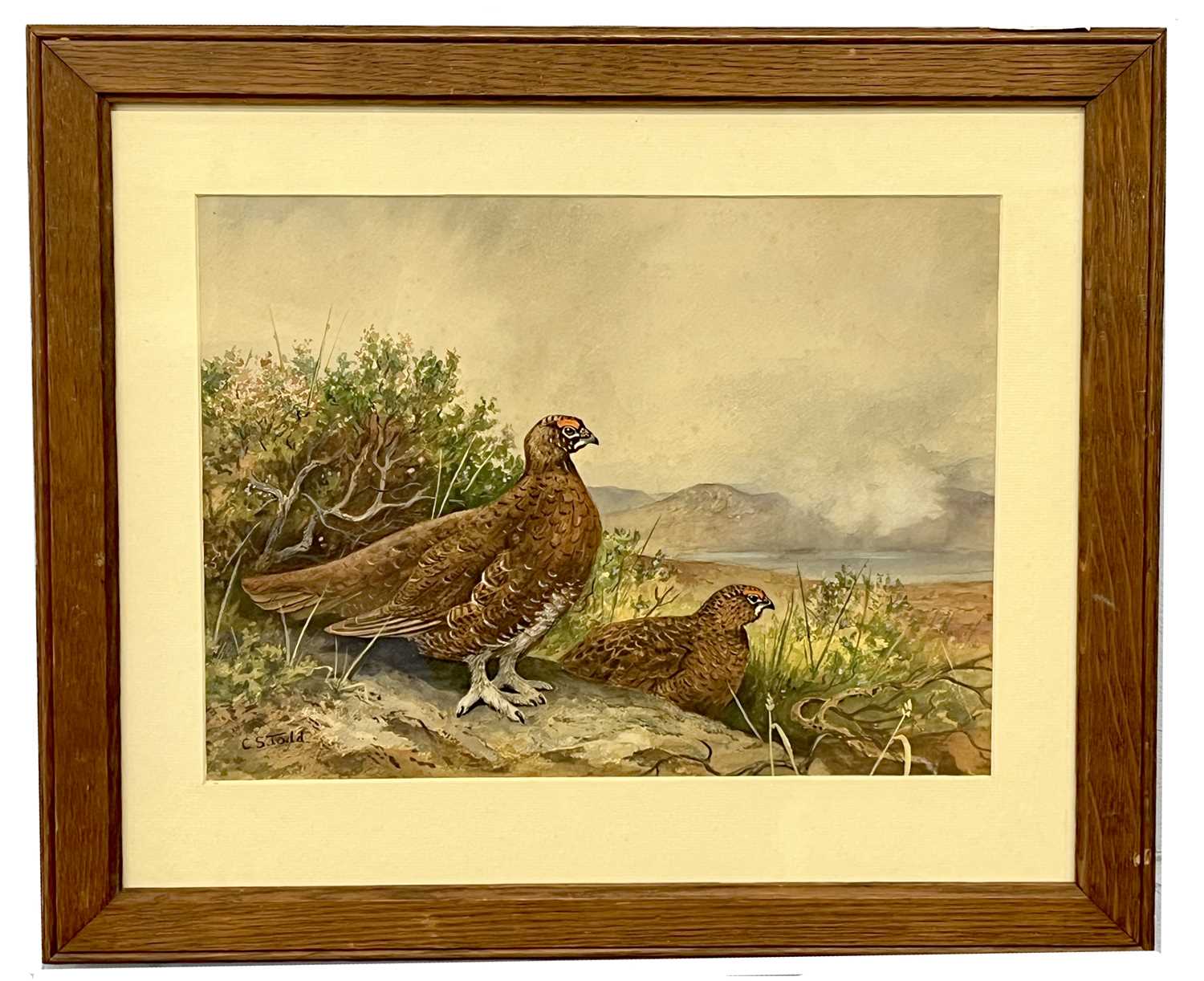 Charles Stanley Todd (British,1923-2004), a pair of red grouse, watercolour and gouache, signed, - Image 2 of 2