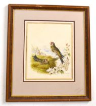 Harry Bright (1846-1895), a pair of European Chaffinchs, watercolour and gouache, signed and dated