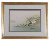 J.A. Morris (British, 20th century) Mallard ducks with young, watercolour and gouache, signed and