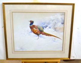 David Orr Kerr (British, b.1951), Ring necked pheasant in a winter landscape, watercolour and