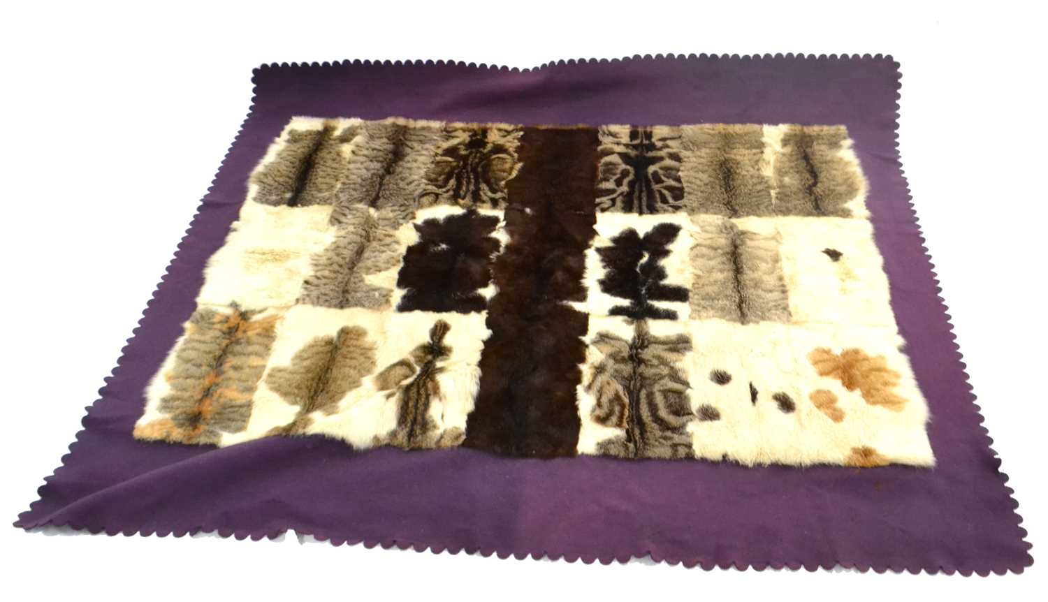 Taxidermy: Rare Domestic Cat Skin Coaching Rug by Williams of Dublin, circa 1920, an extremely - Image 2 of 2