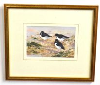 Brian Day (British, 20th century), 'Oyster Catchers', watercolour, signed, 4x6.5ins, framed and