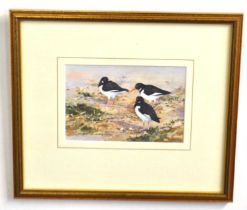 Brian Day (British, 20th century), 'Oyster Catchers', watercolour, signed, 4x6.5ins, framed and