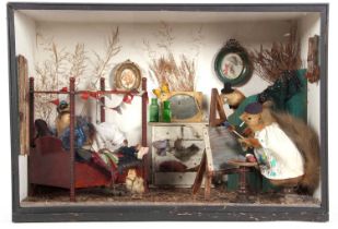 Late 19th/early 20th Century cased anthropomorphic taxidermy scene of three Squirrels in bedroom