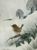 Andrew Osborne (British), a perched Wren in a winter landscape, signed, 7x10.5ins, framed and