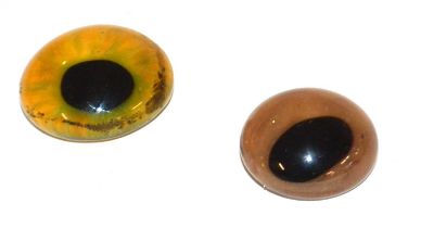 Two early/mid 20th Century taxidermy glass eyes