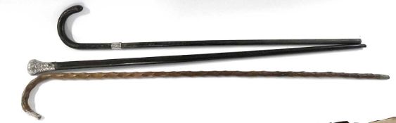 Group of two walking sticks with white metal bands together with a cane with embossed white metal