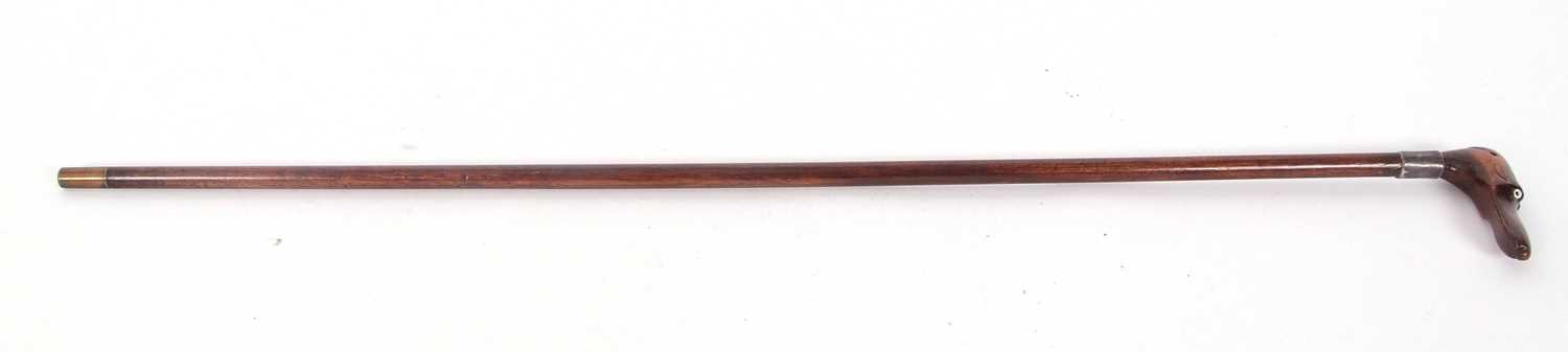 A walking stick carved with a dogs head handle, set with glass eyes and having a silver collar, - Image 8 of 8