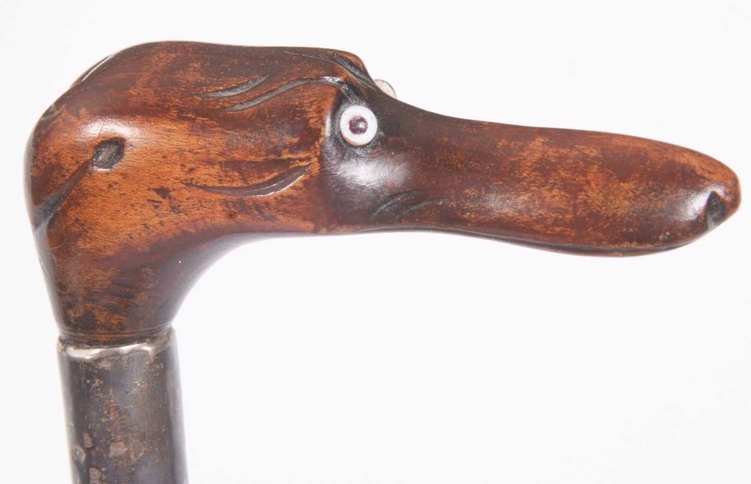 A walking stick carved with a dogs head handle, set with glass eyes and having a silver collar,