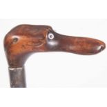 A walking stick carved with a dogs head handle, set with glass eyes and having a silver collar,